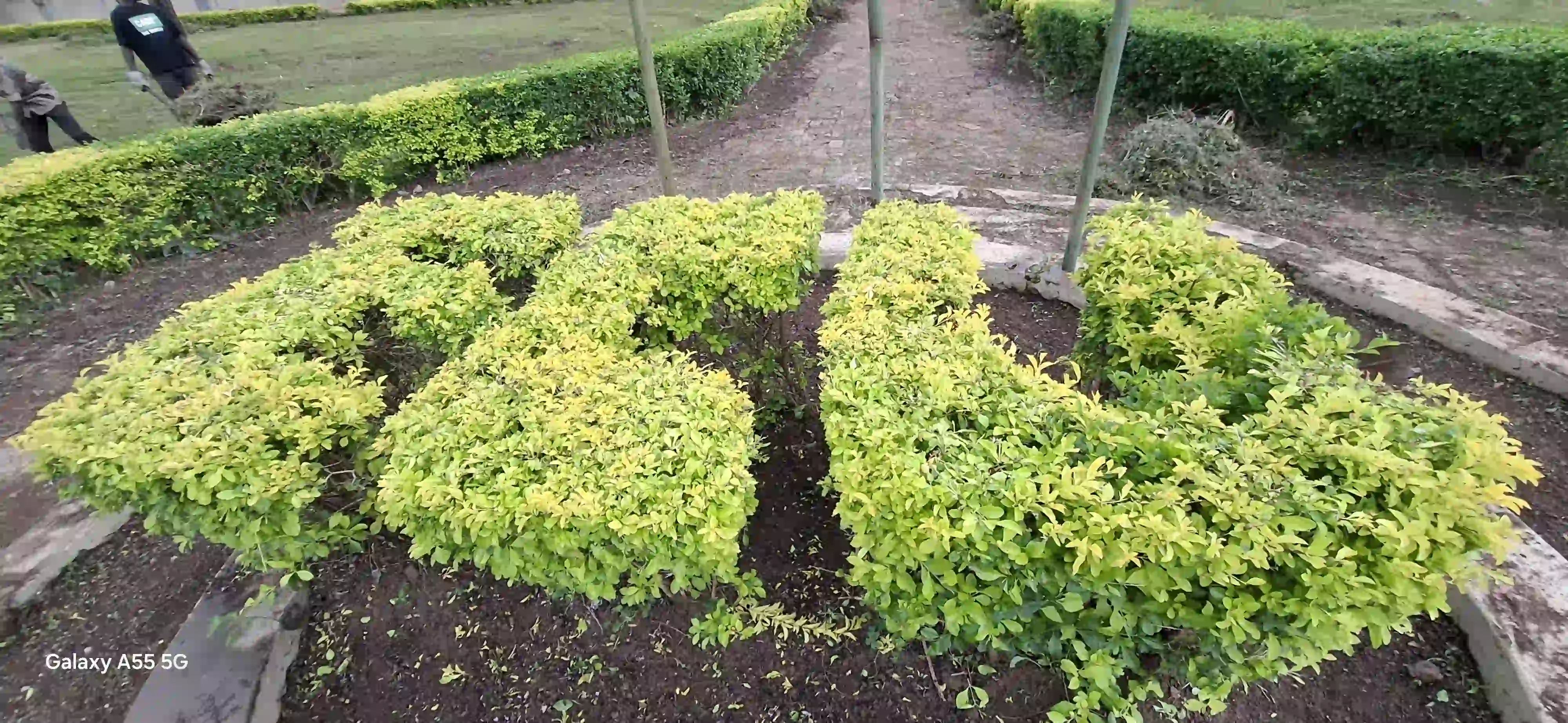 Farm Image