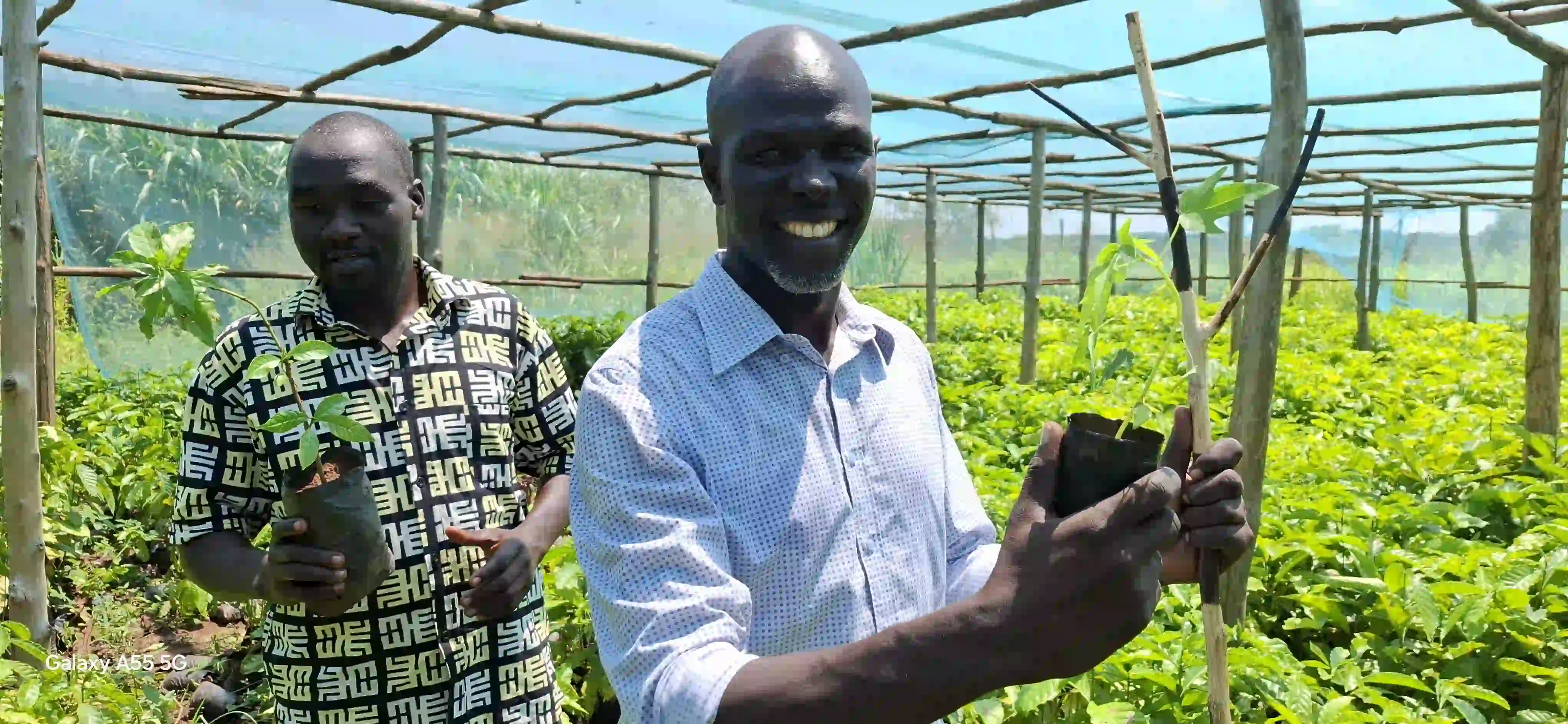 Farm Image