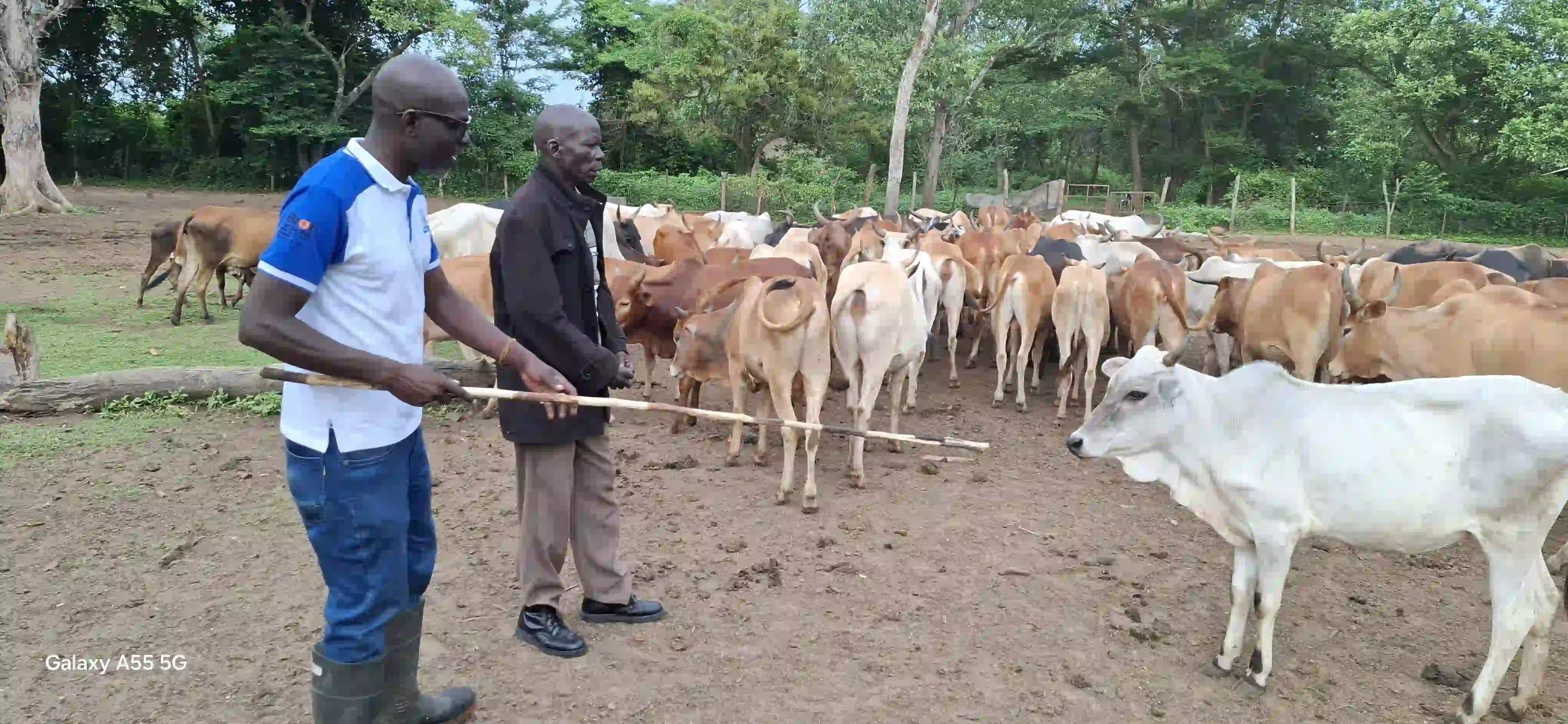 Farm Image