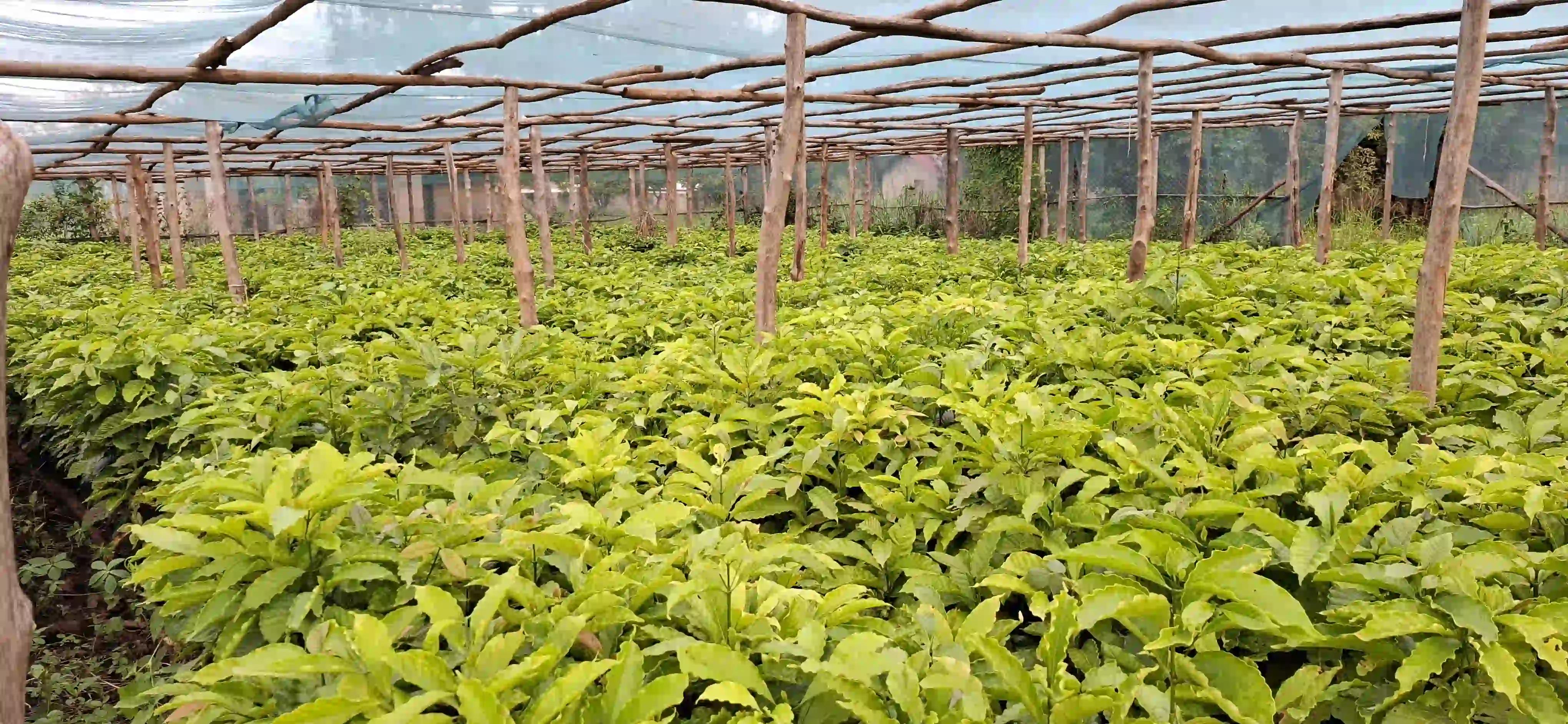 Farm Image