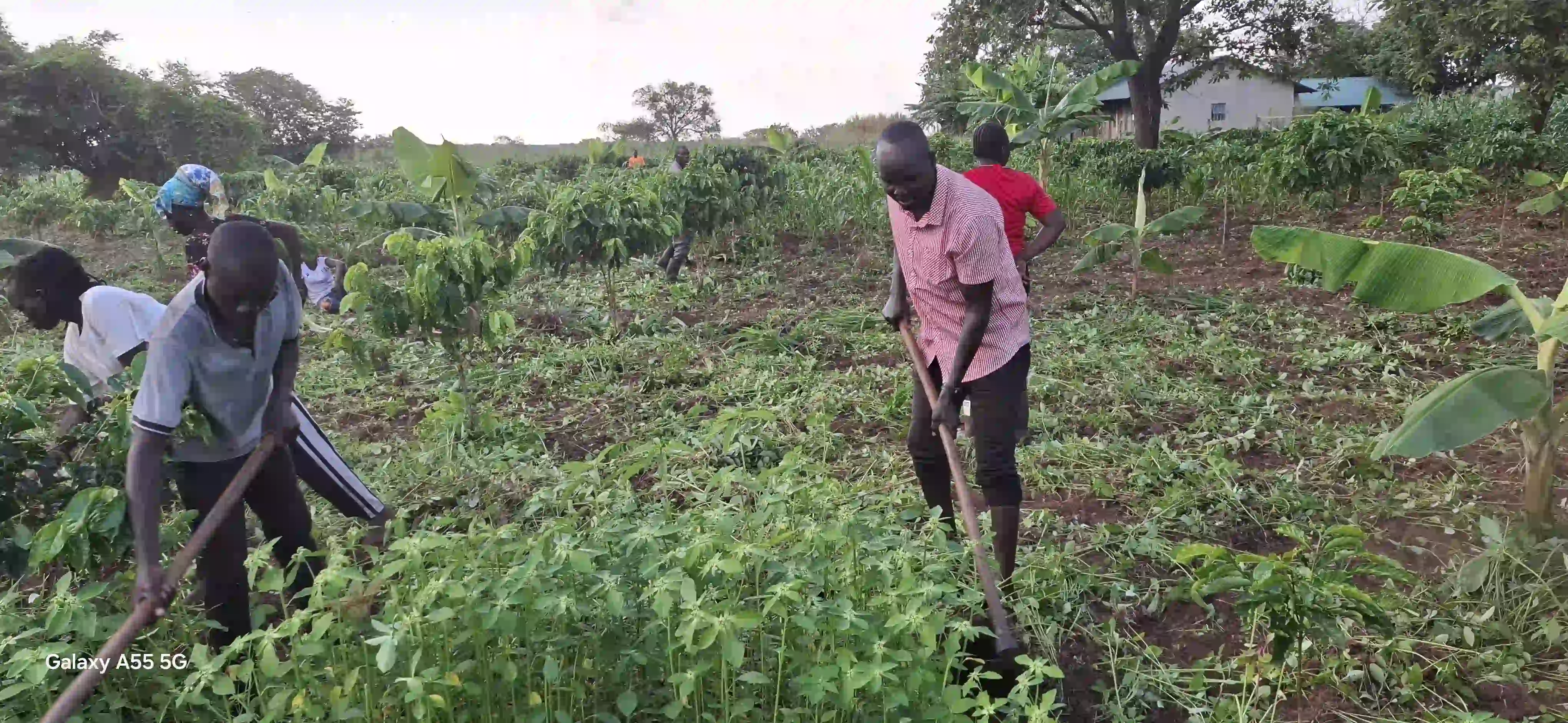 Farm Image