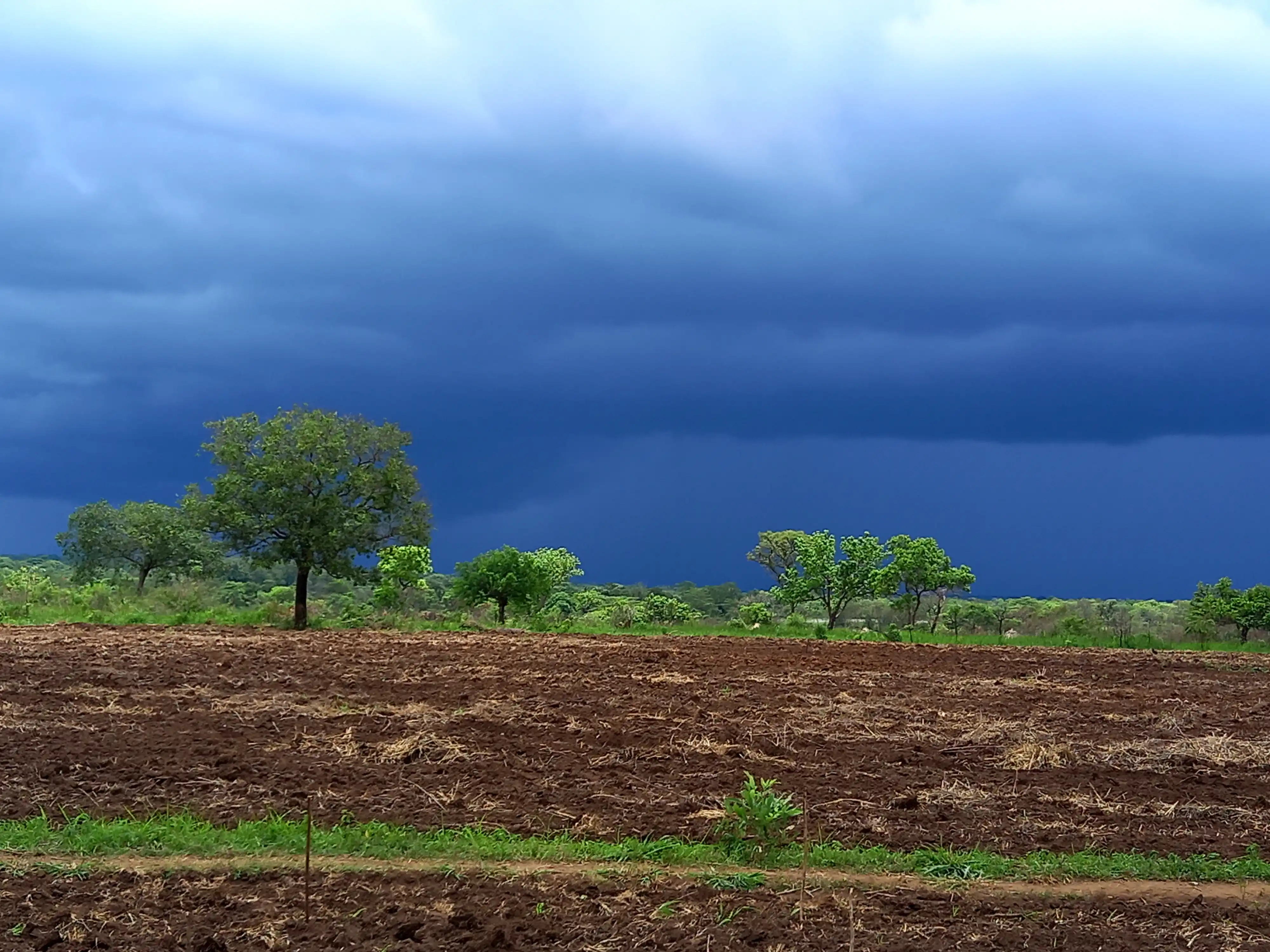 Farm Image