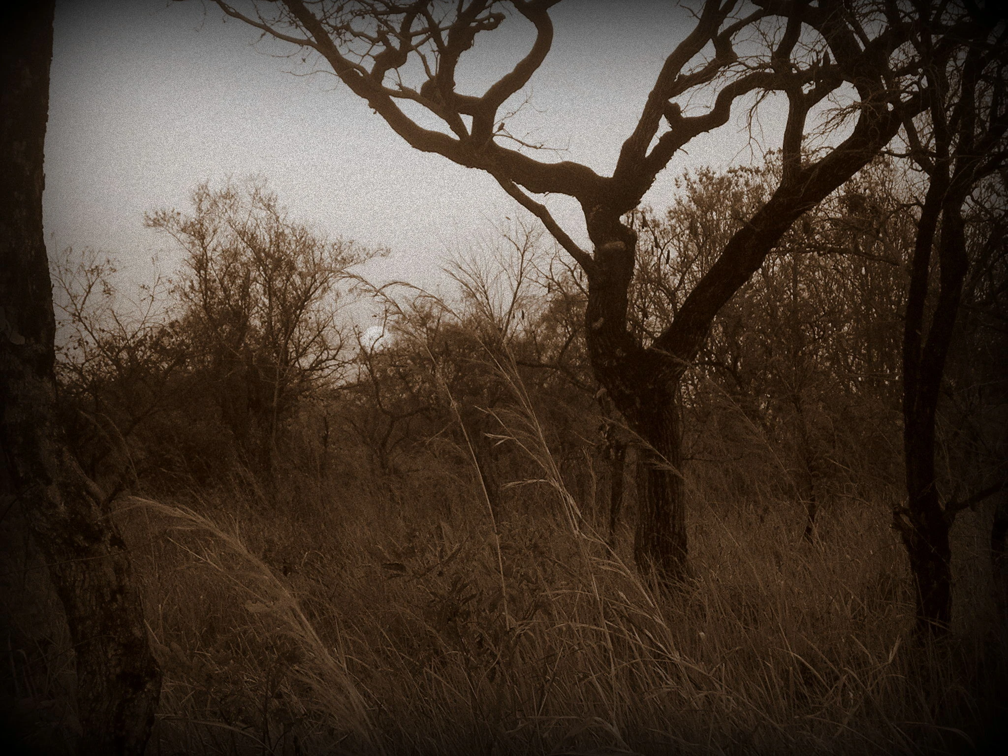 Journey Image 1