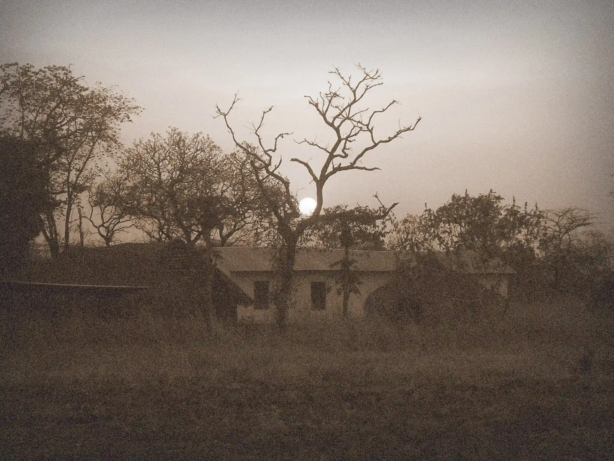 Journey Image 2